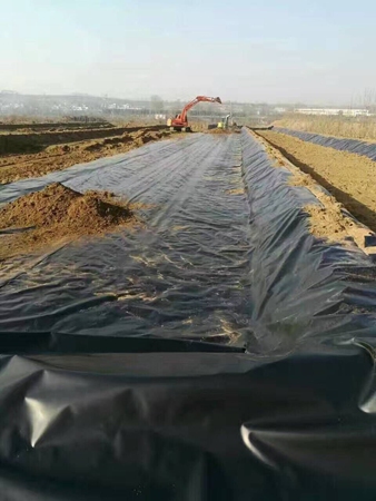 �����Ƹ�����ֳ������Ĥ�����ֳ� 