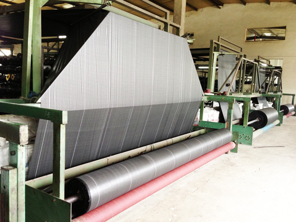 ��֯������