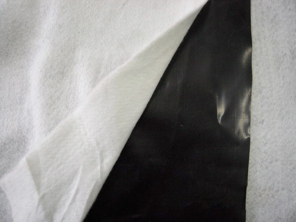 ��������Ĥ