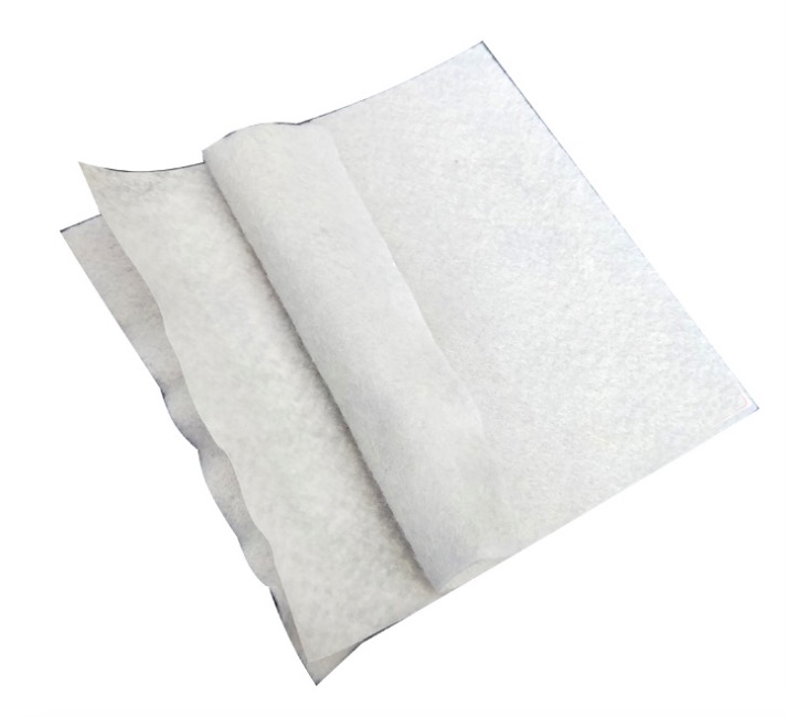 ��������Ĥ