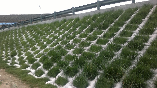 ����Ĥ�� 